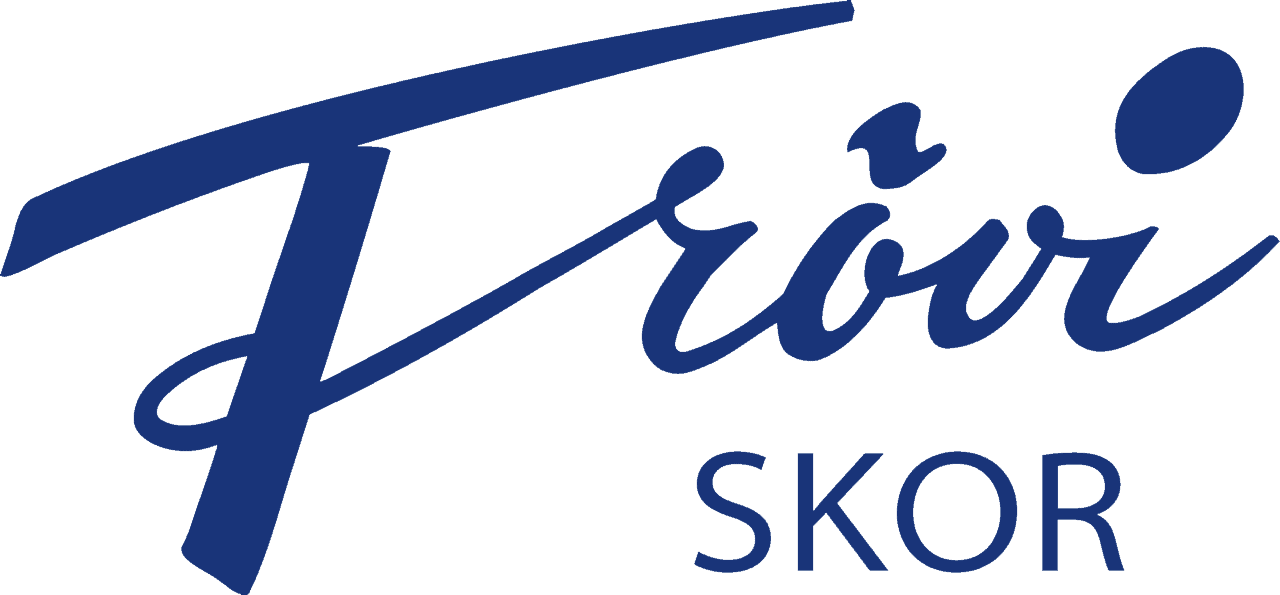 Bild på Frövi skor, ett urval av damskor i olika stilar och färger.