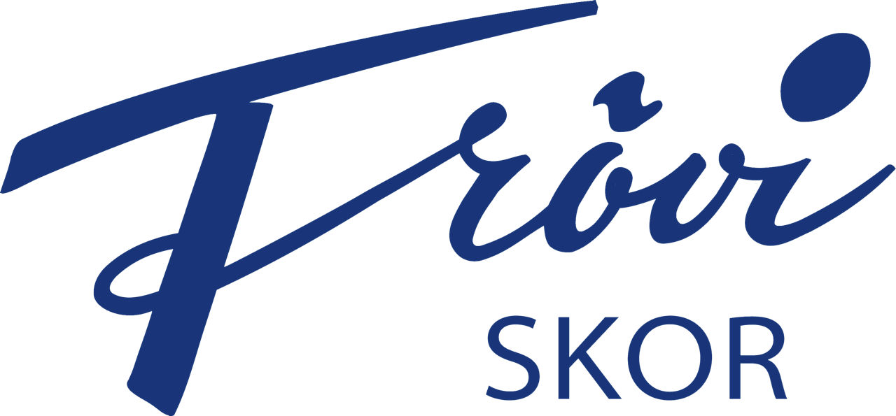 Bild på Frövi skor, ett urval av damskor i olika stilar och färger.